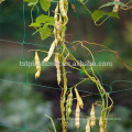 plants support netting15*20cm large trellis mesh for tomato